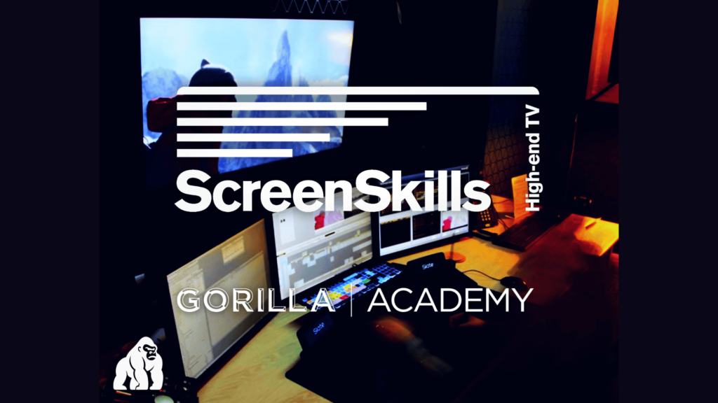 High-end TV First Assistant Editor to Editor